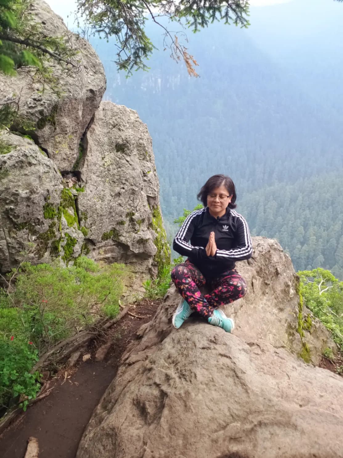 esencia de Lotus -cover-picture