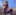 Marianne Romanello Andrade-cover-picture-blured